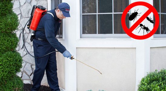 Selendi Böcek ve Haşere İlaçlama böcek ilaçlama ve haşere kontrolü — ilaclama-tr.com